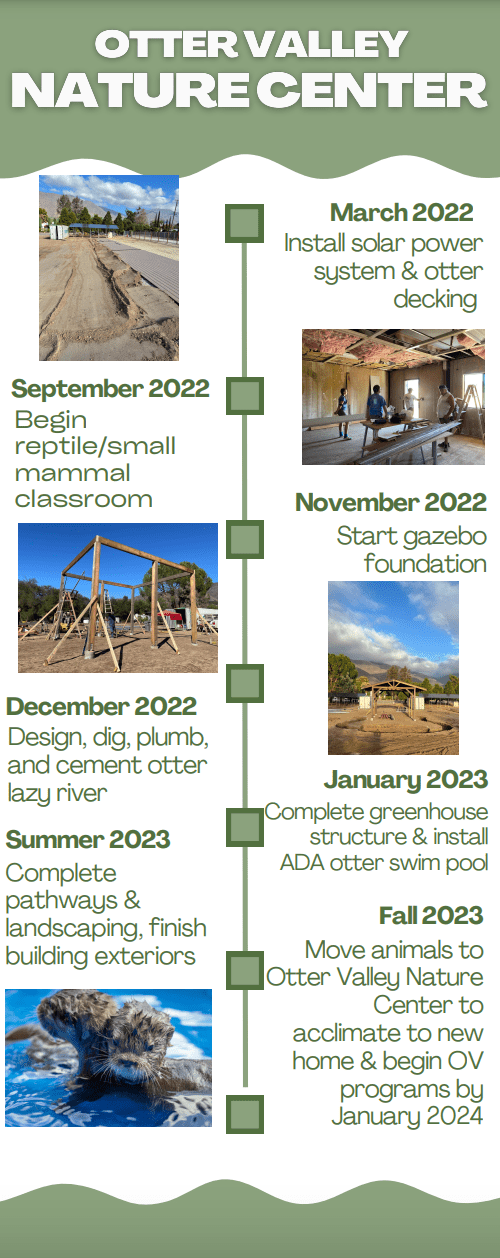 Screenshot 2023-01-06 at 12.42.27 timeline